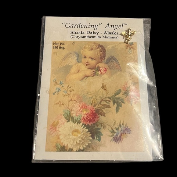 Vintage Guardian Angel Pin with Seeds - Picture 1 of 3